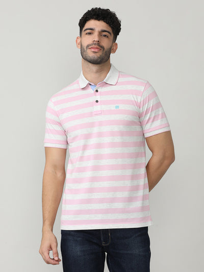 Pink Pique Stripes Polo T-shirt With Tipping Collar