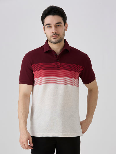 Maroon Pique Crape Knit Horizontal Stripe Polo